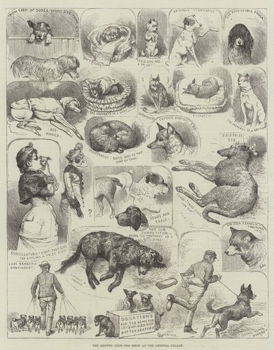 Exposición Canina del Kennel Club en el Crystal Palace de Alfred Courbould